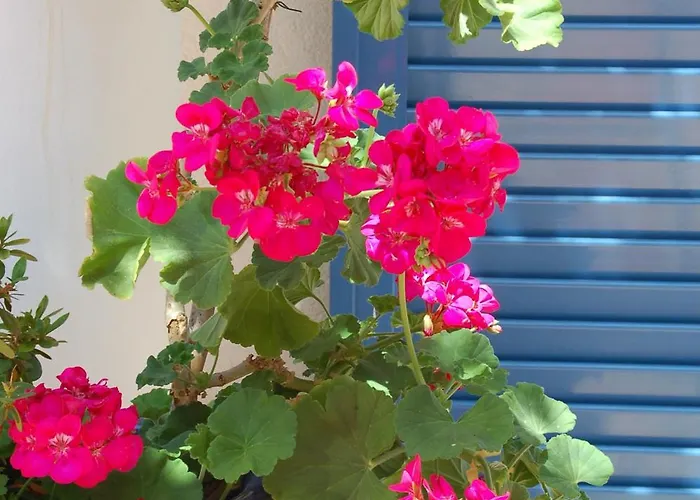 Hotel De La Fontaine Nice