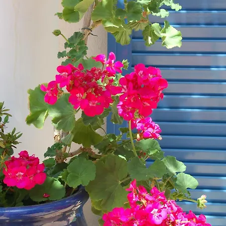 Szálloda De La Fontaine Nizza